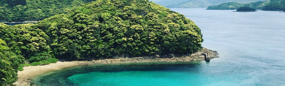 ポケごみsyalana lazo カバー