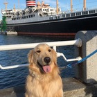 ポケゴミ　磯子の森 プロフィール