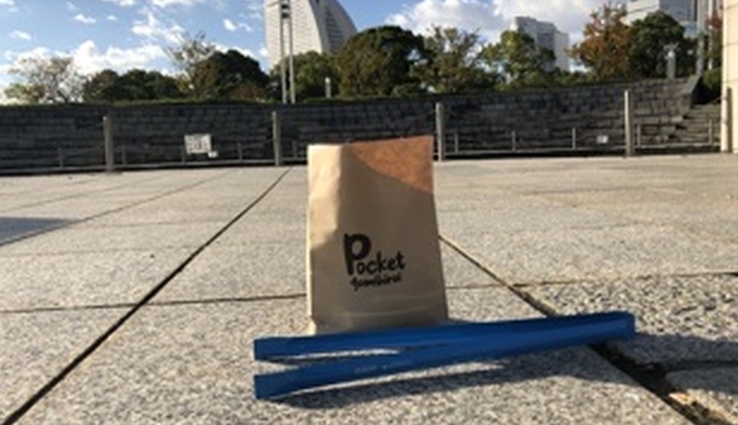 ポケごみ レポート