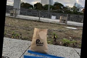 ポケごみポケさな アイキャッチ