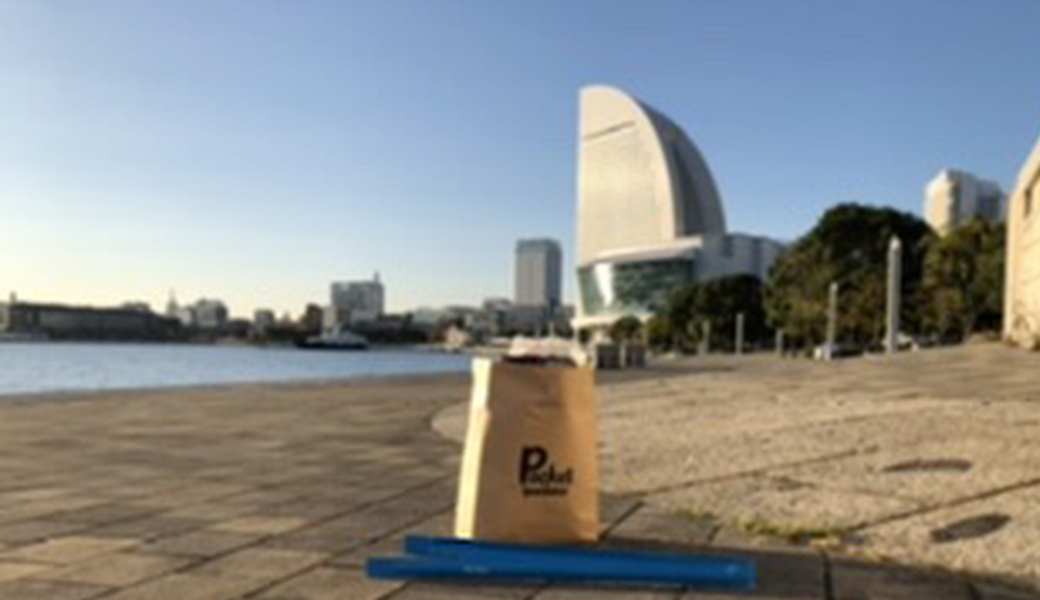 ポケごみポケさな レポート