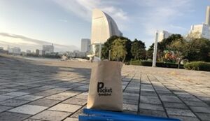 ポケごみポケさな アイキャッチ