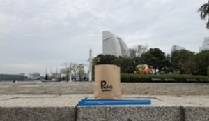 ポケごみポケさな アイキャッチ