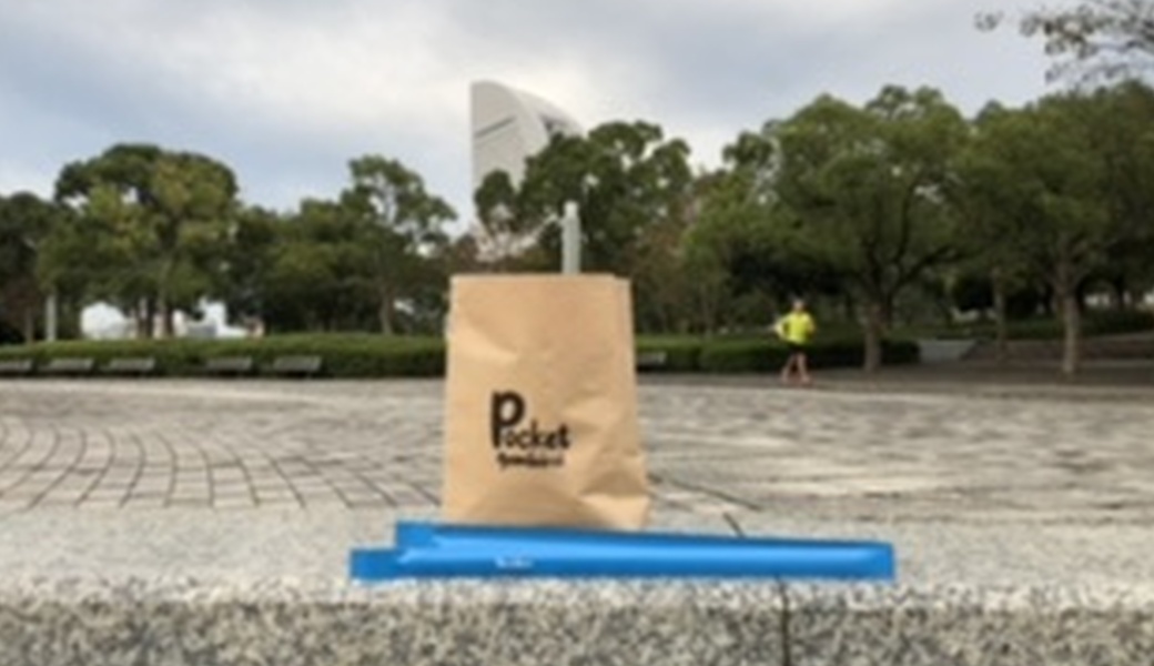 ポケごみポケさな レポート