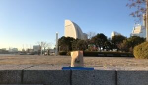 ポケごみポケさな アイキャッチ