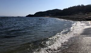 WCD2020！志賀島下馬ヶ浜海岸、勝間海岸でビー ... アイキャッチ