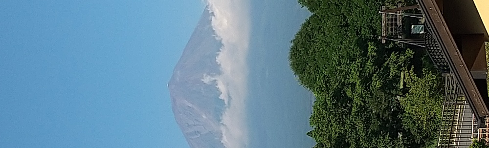 ぽけゴミ チームつーじー カバー