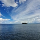 ポケごみ　こいけ プロフィール