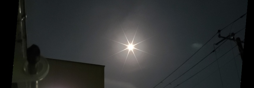 ポケごみ　こいけ カバー