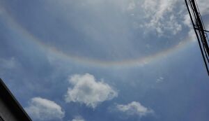 海ごみゼロウィーク2021 アイキャッチ