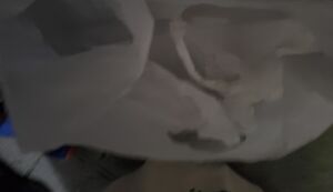 福拾い アイキャッチ