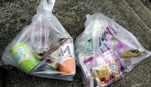 福拾い アイキャッチ