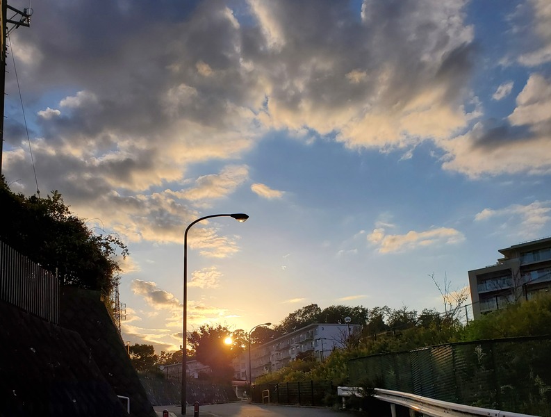 福拾い レポート