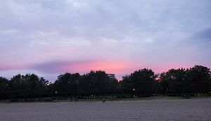 海ごみゼロウィーク2021 アイキャッチ