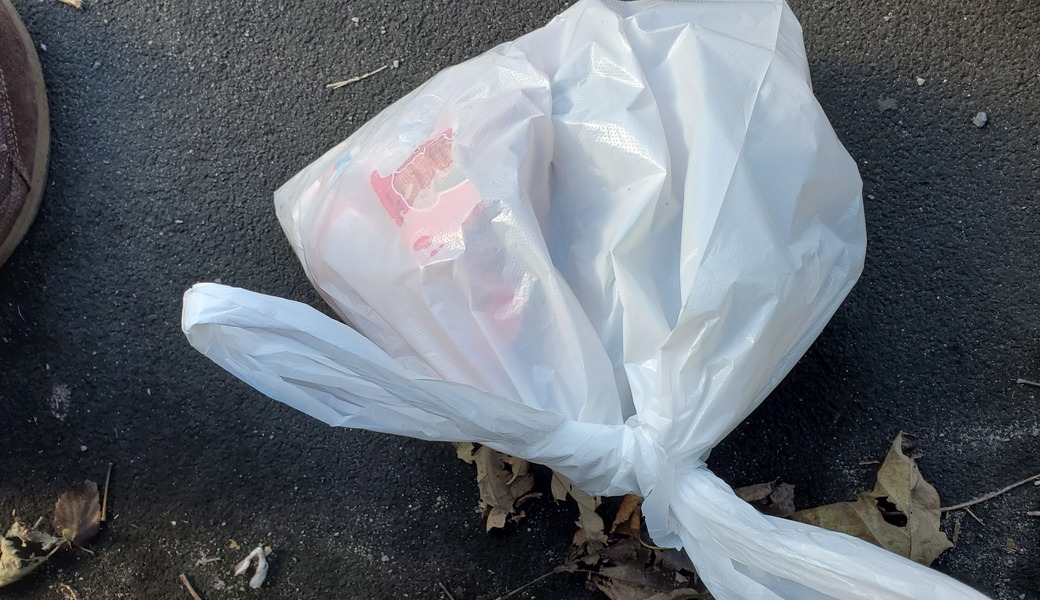 福拾い レポート