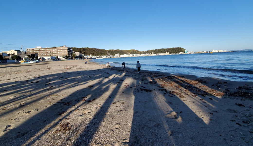 福拾い レポート