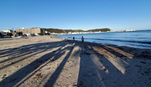 福拾い アイキャッチ