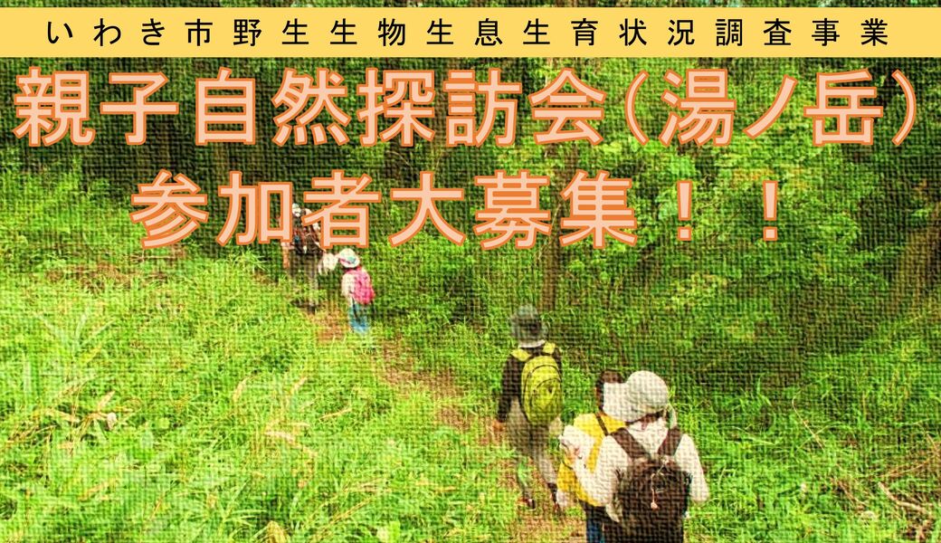 親子自然探訪会（湯ノ岳） アイキャッチ