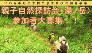 親子自然探訪会（湯ノ岳） アイキャッチ