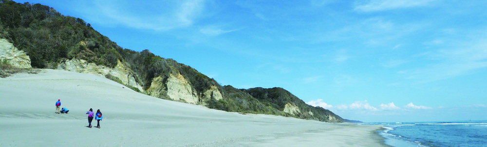 公益財団法人日本自然保護協会 カバー