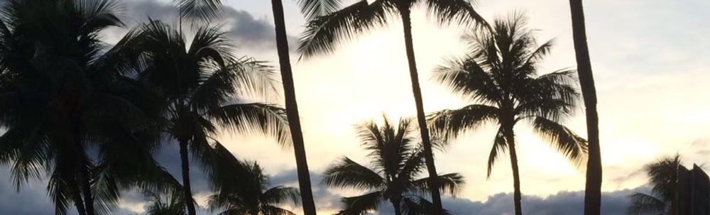 milimili WCD カバー