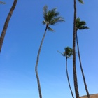 milimili WCD プロフィール