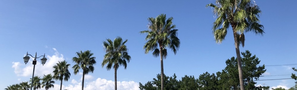 りみいとプラスチックについて考える カバー