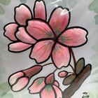 さくらクリーンプロジェクト プロフィール