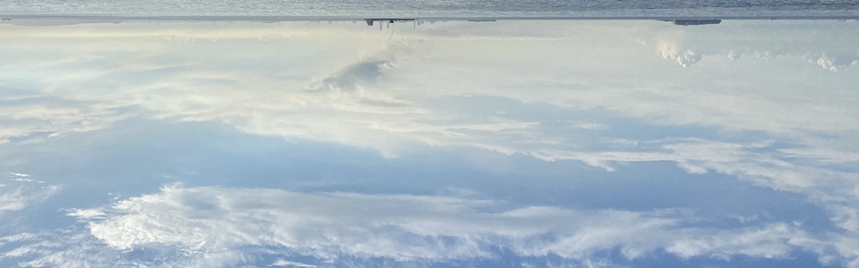 ポケごみ バリアフリーハート カバー