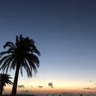 ヨコスカshines プロフィール