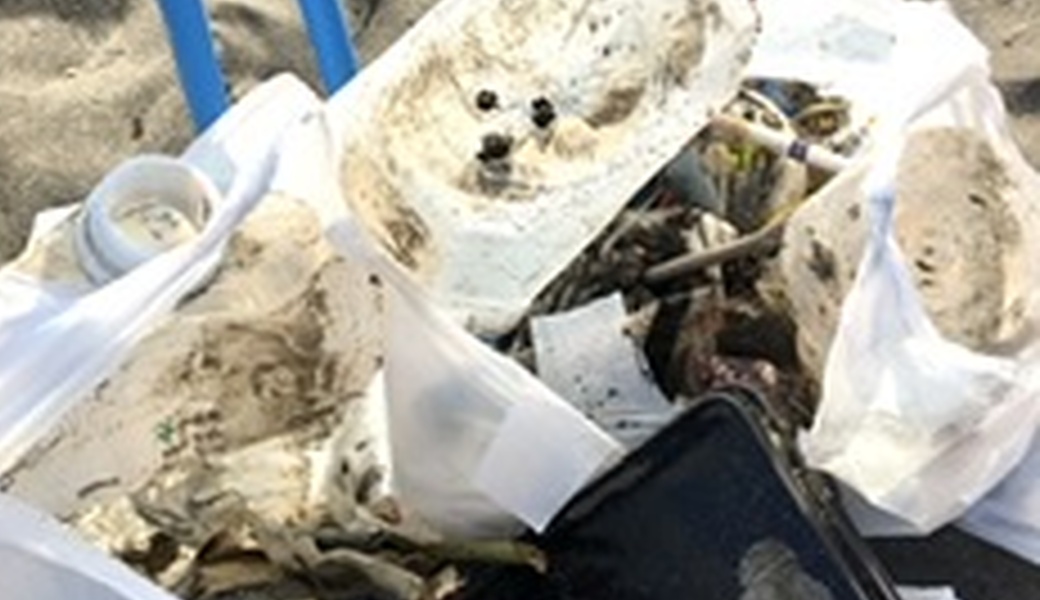 ぶらりポケクリ レポート