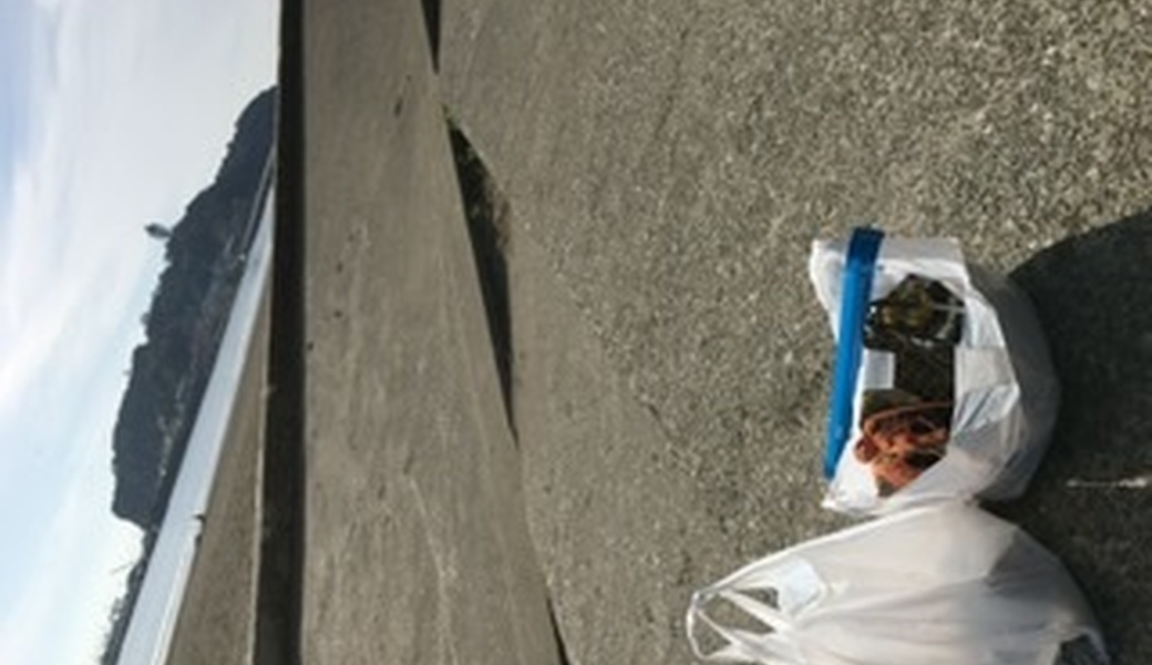 ぶらりポケクリ レポート