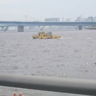 豊洲探検隊 プロフィール