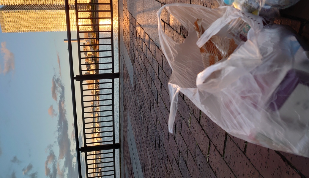 SEA DREAM DAY 豊洲 レポート