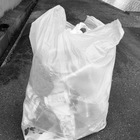 ゴミ拾い プロフィール