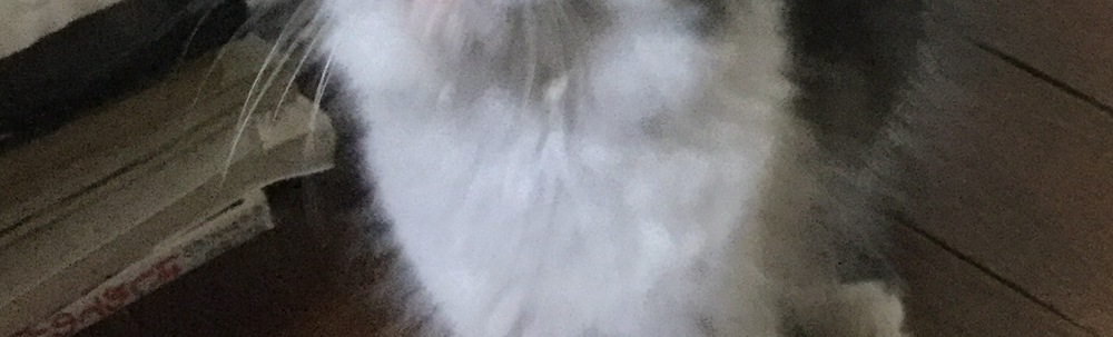 Ayak.Works カバー