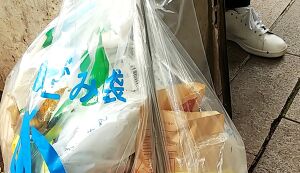 五橋・土樋ゴミ拾い Vol.10 アイキャッチ