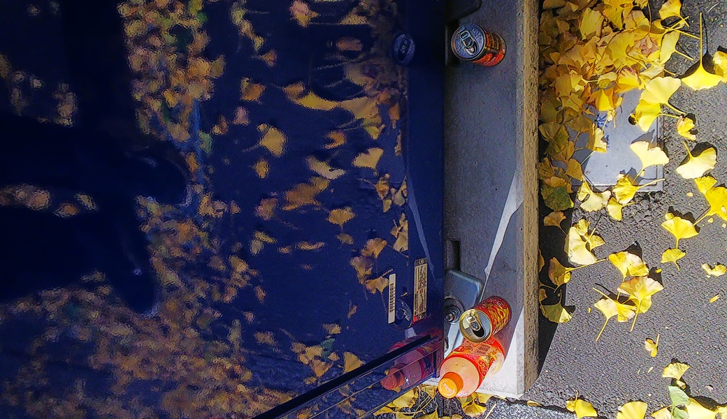 国分町ゴミ拾い Vol.3 レポート