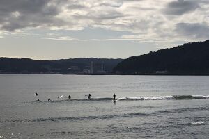 ポケゴミ　宇佐美 アイキャッチ