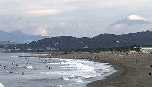 ポケゴミ　 アイキャッチ