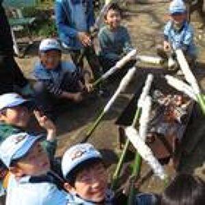 ボーイスカウト加古川2団 プロフィール