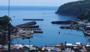 海さくら花火ビーチクリーン アイキャッチ