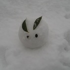 ポケゴミ 未来へ プロフィール