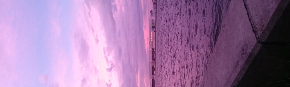 ポケゴミ 未来へ カバー