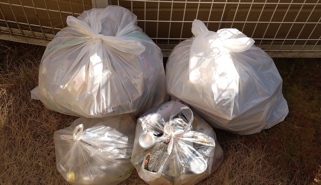 ポケごみ　伊勢原から　第208回 レポート