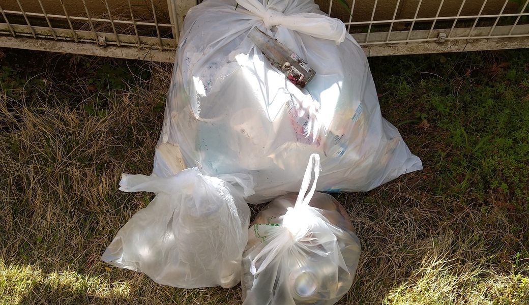 ポケごみ　伊勢原から　第215回 レポート