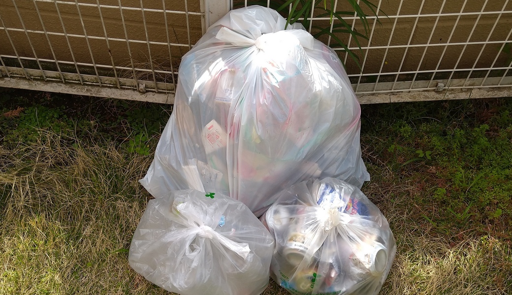 ポケごみ　伊勢原から　第216回 レポート