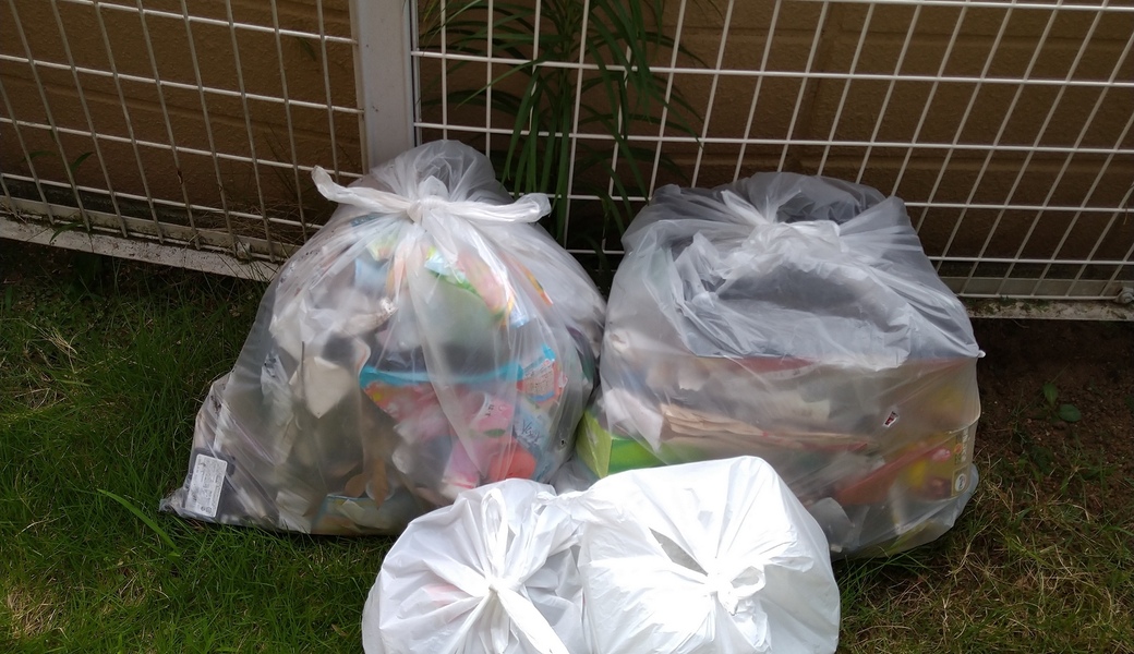 ポケごみ　伊勢原から　第221回 レポート