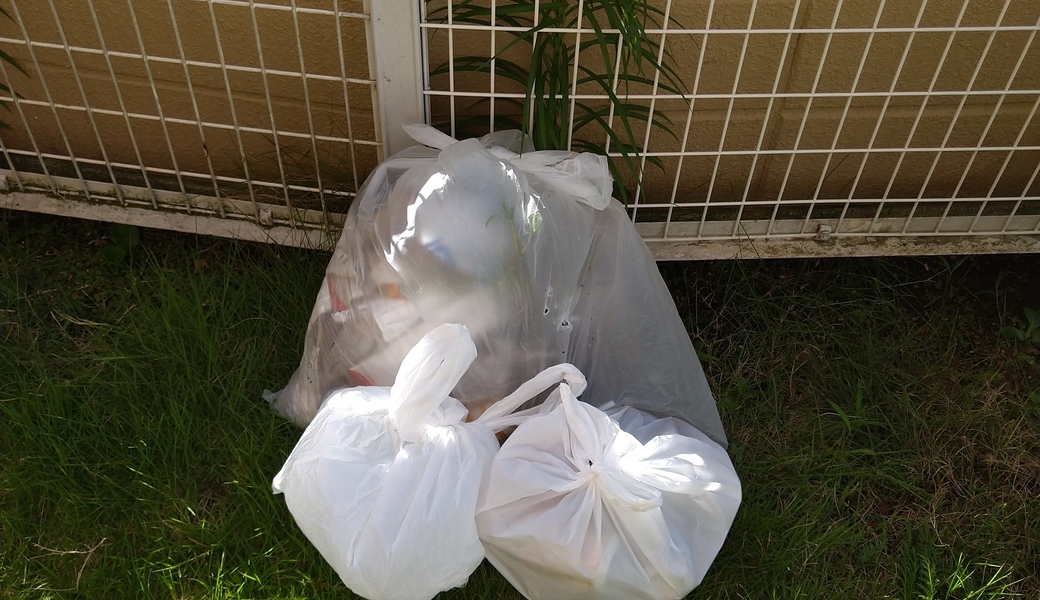 ポケごみ　伊勢原から　第222回 レポート