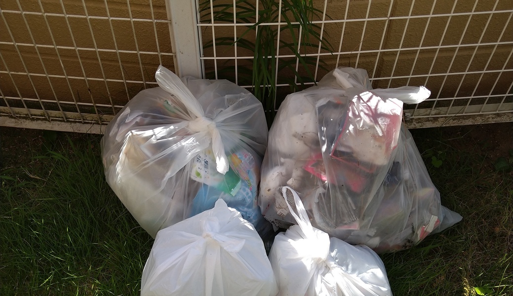 ポケごみ　伊勢原から　第223回 レポート